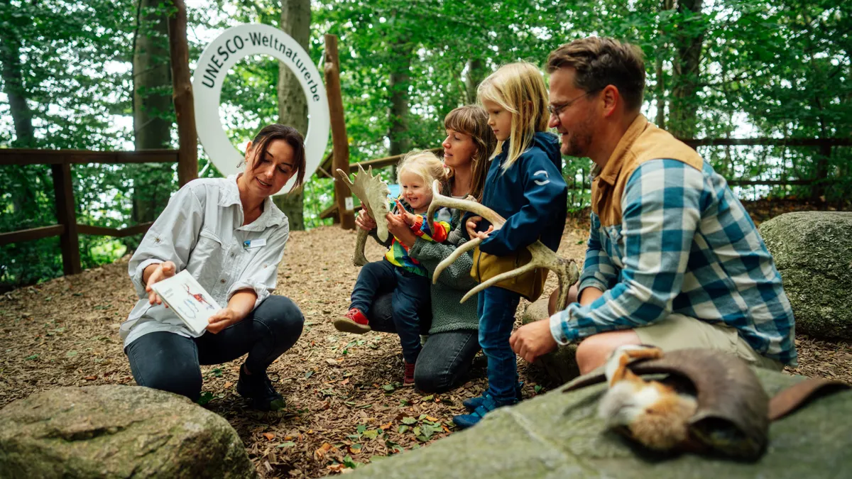 Mitten im Wald bringt unser Naturguide Eltern und Kindern mit Anschauungsmaterial zum Fühlen ins Staunen.