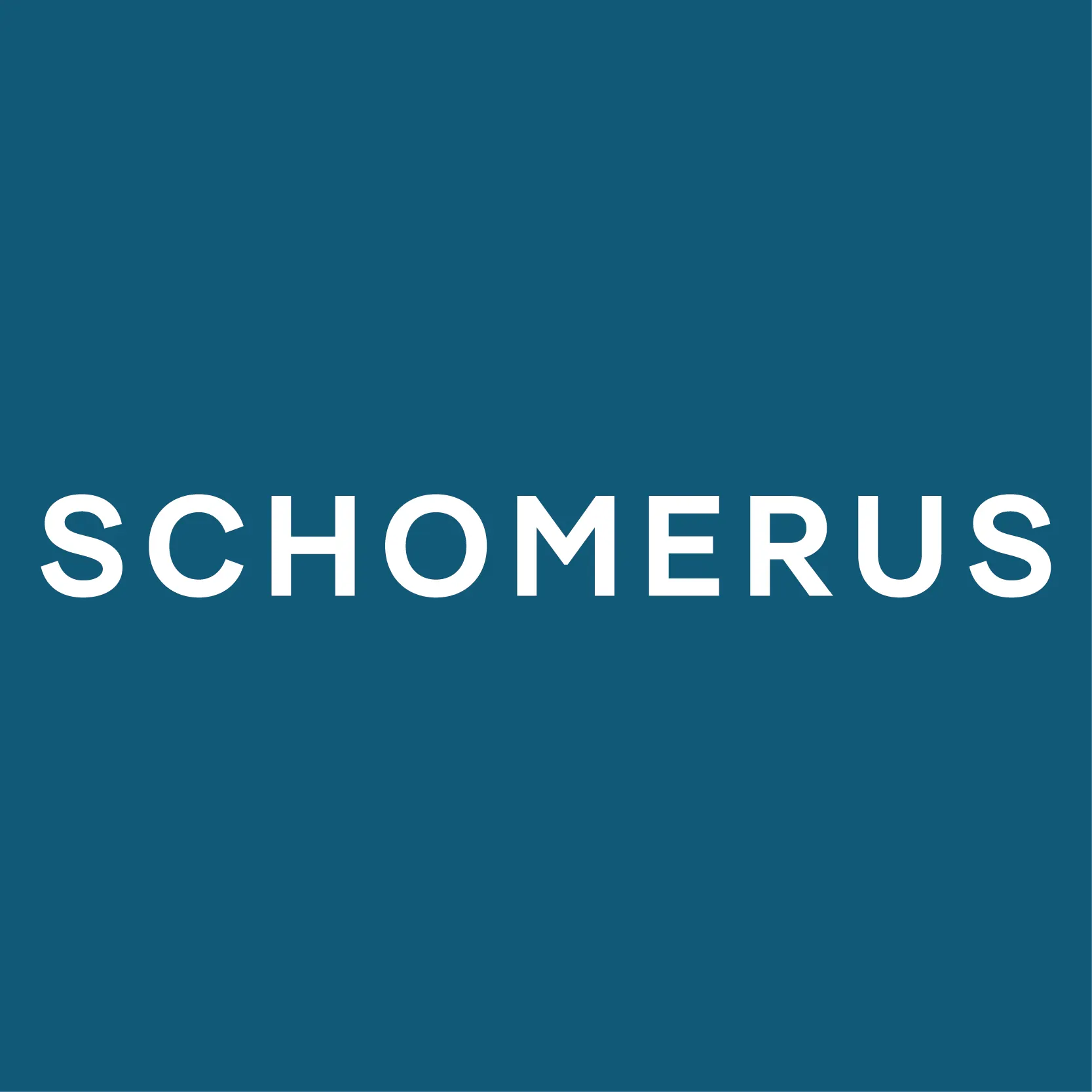 SCHOMERUS NPO