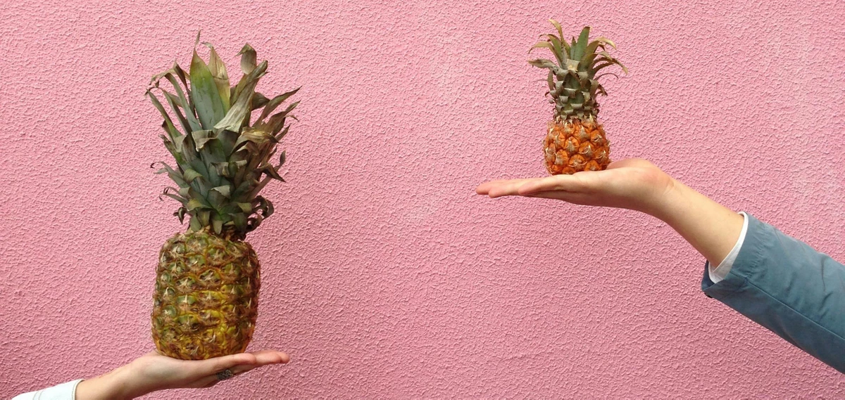 Zwei Hände balancieren je eine Ananas. Die Linke Ananas ist größer als die rechte. Der Hintergrund ist eine verputzte Wand in rosa.