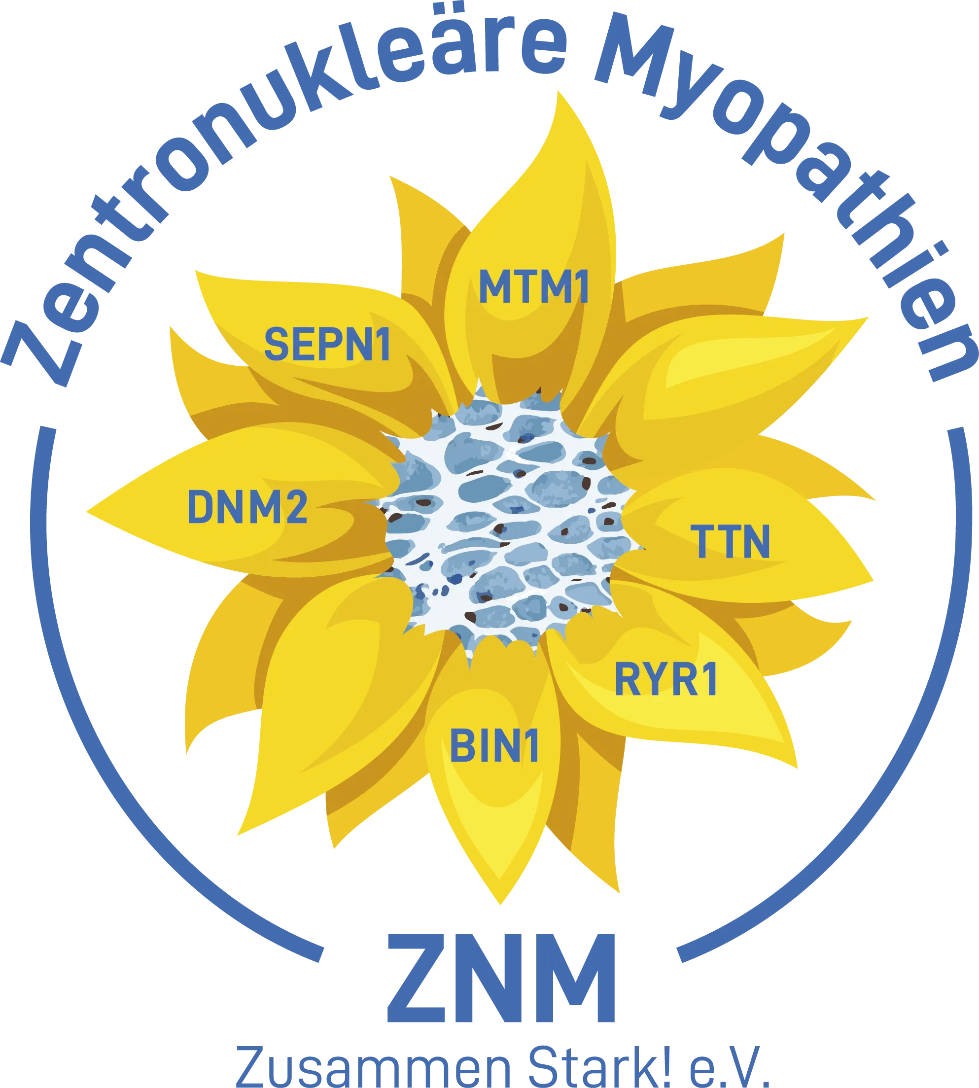ZNM - Zusammen Stark! e.V.