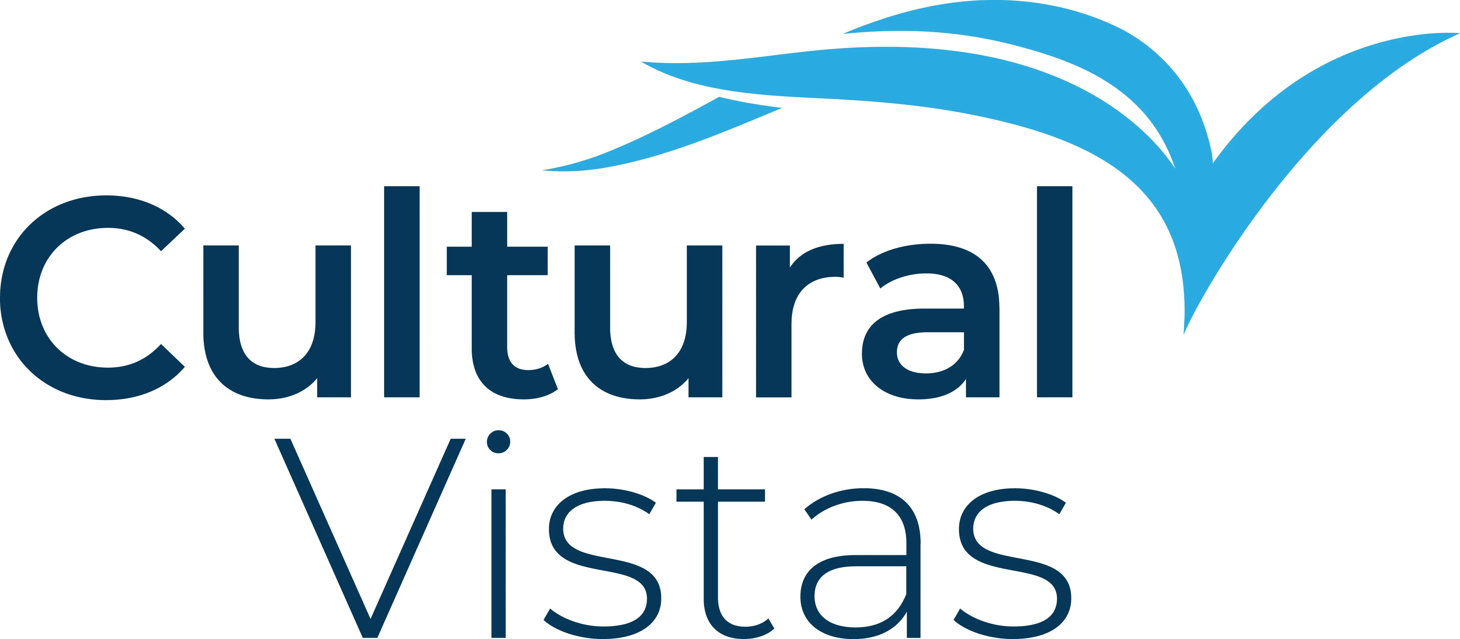 Cultural Vistas gGmbH
