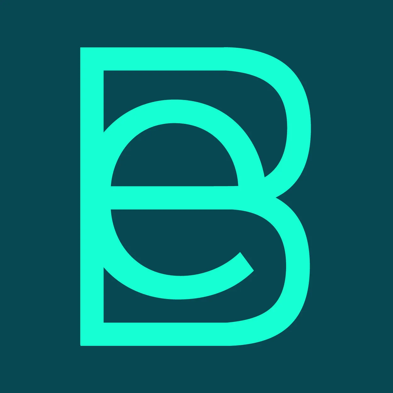 Better Earth - Partners for Business Transformation