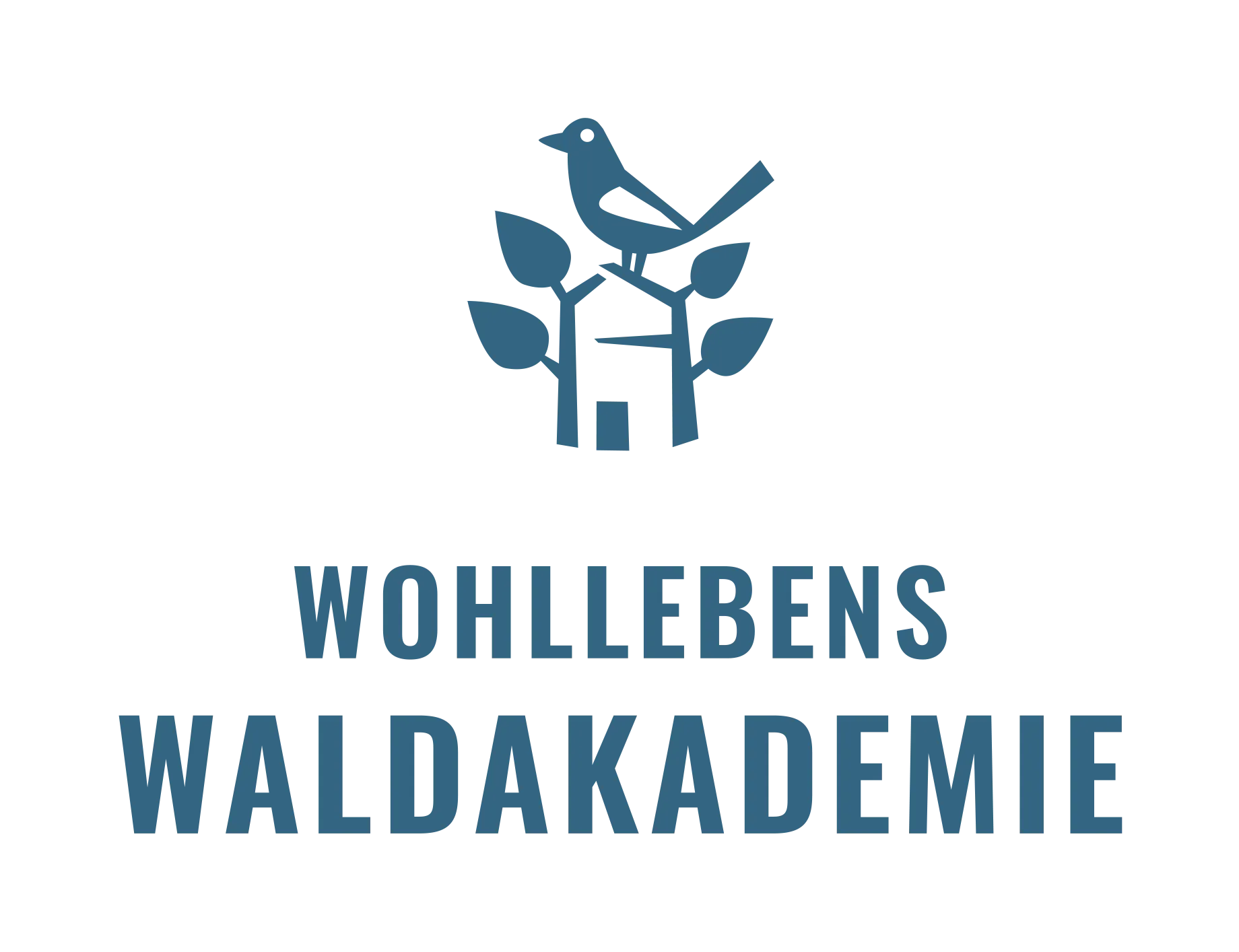 Wohllebens Waldakademie GmbH & Co. KG