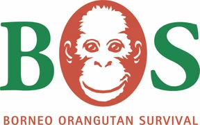 Borneo Orangutan Survival (BOS) Deutschland e.V.