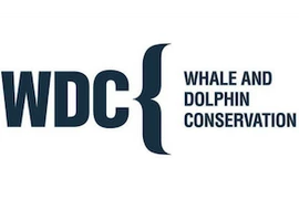 Whale and Dolphin Conservation gGmbH