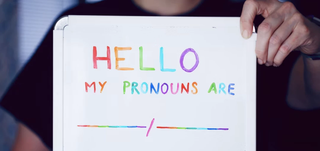 Person hält Schild hoch mit Aufschrift "Hallo meine Pronomen sind .../..." 