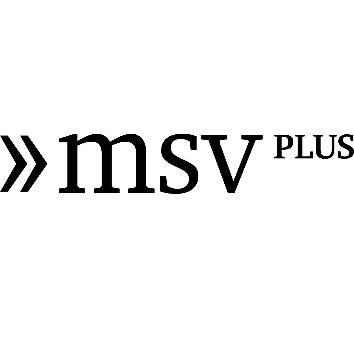 MSVplus Musikschulverwaltungssoftware