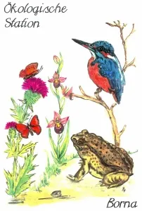 Naturförderungsgesellschaft Ökologische Station Borna-Birkenhain e.V.