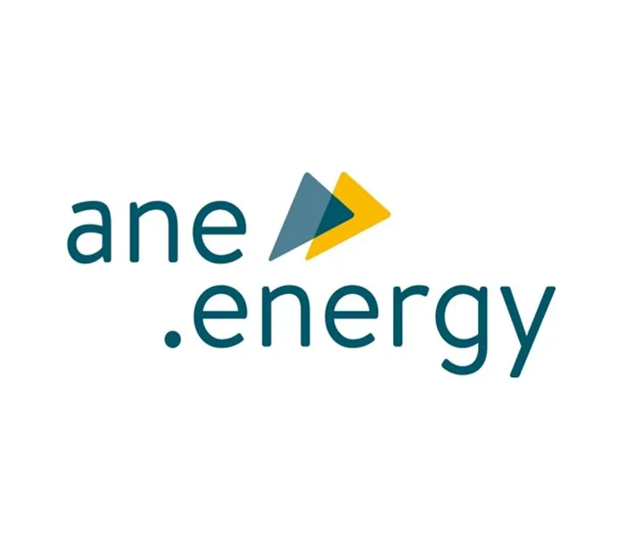 ANE GmbH & Co. KG