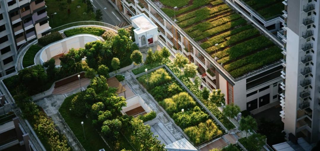Urban Gardening – begrünte Dächer von Hochhäusern 