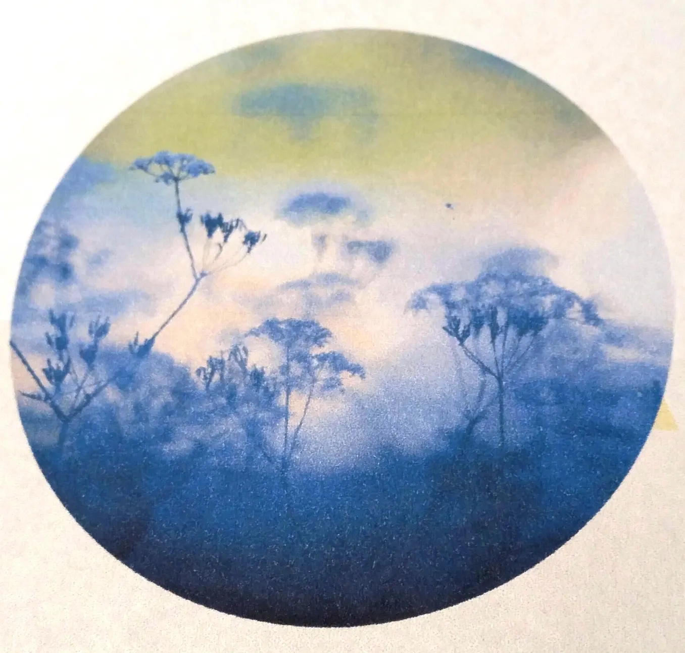 Ganzheitliche Gesundheit GbR