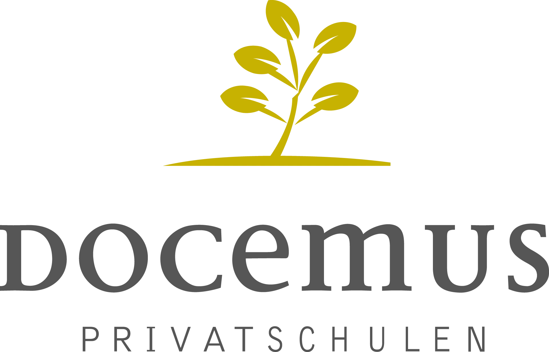 Docemus Privatschulen gGmbH