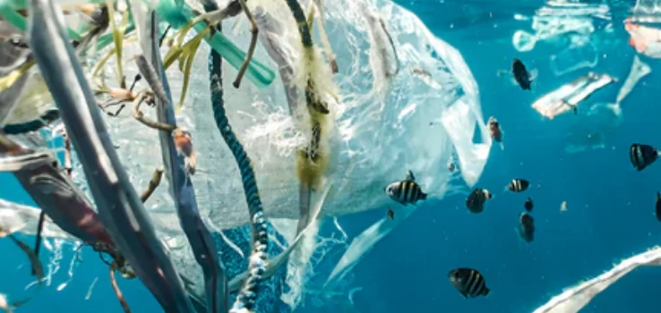 #PlasticFreeJuly – 14 GoodCompanies, die sich für eine plastikfreie Zukunft einsetzen