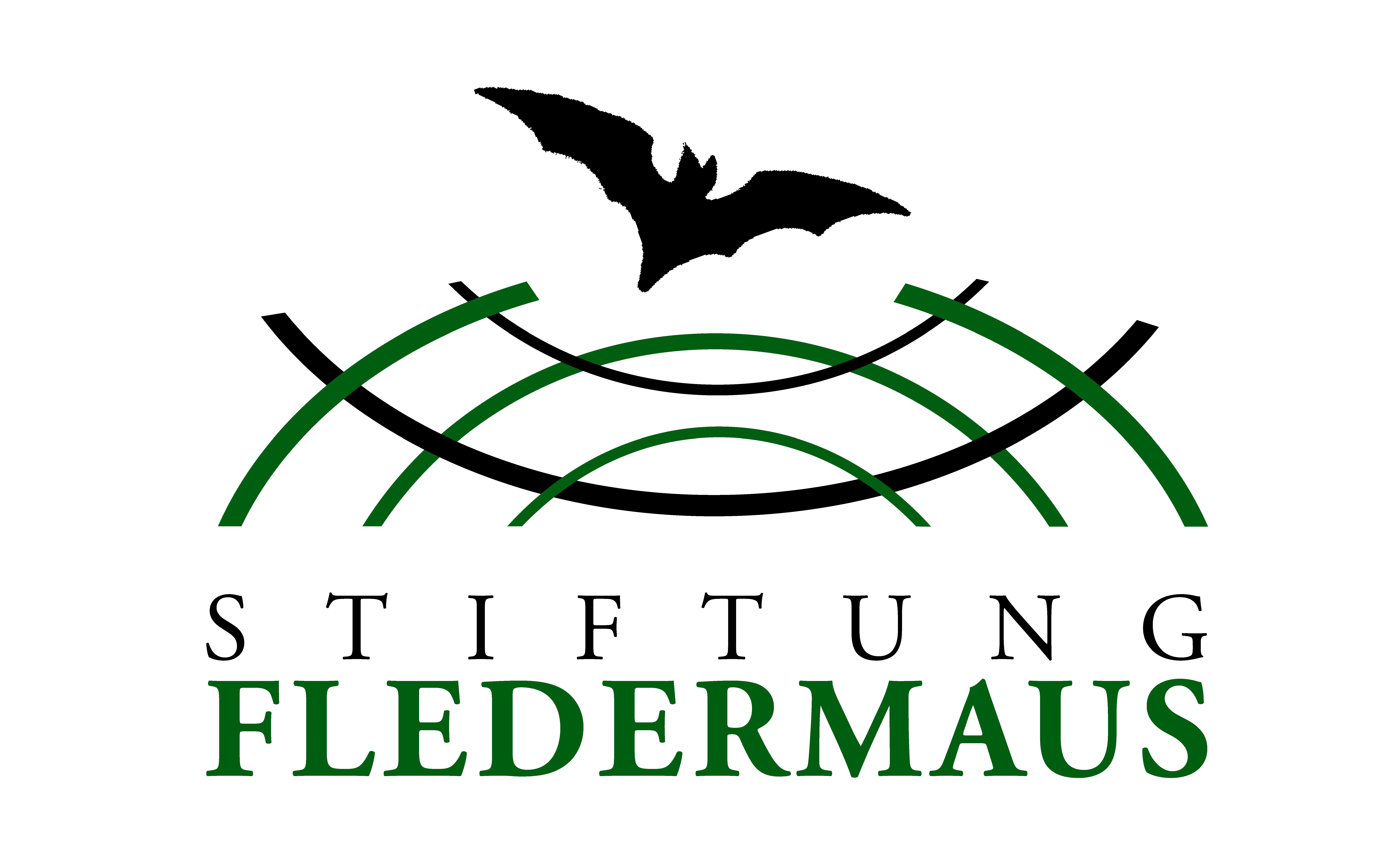 Stiftung FLEDERMAUS