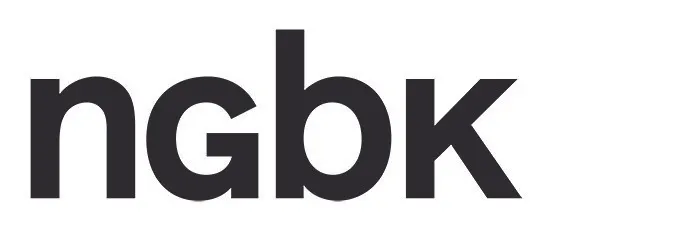 neue Gesellschaft für bildende Kunst e.V.