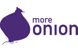 more onion e-campaigning GmbH