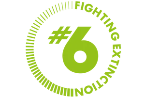 New Planet Production