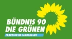 Fraktion Bündnis 90/Die Grünen im Landtag MV