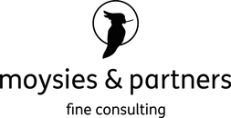 moysies & partners GmbH