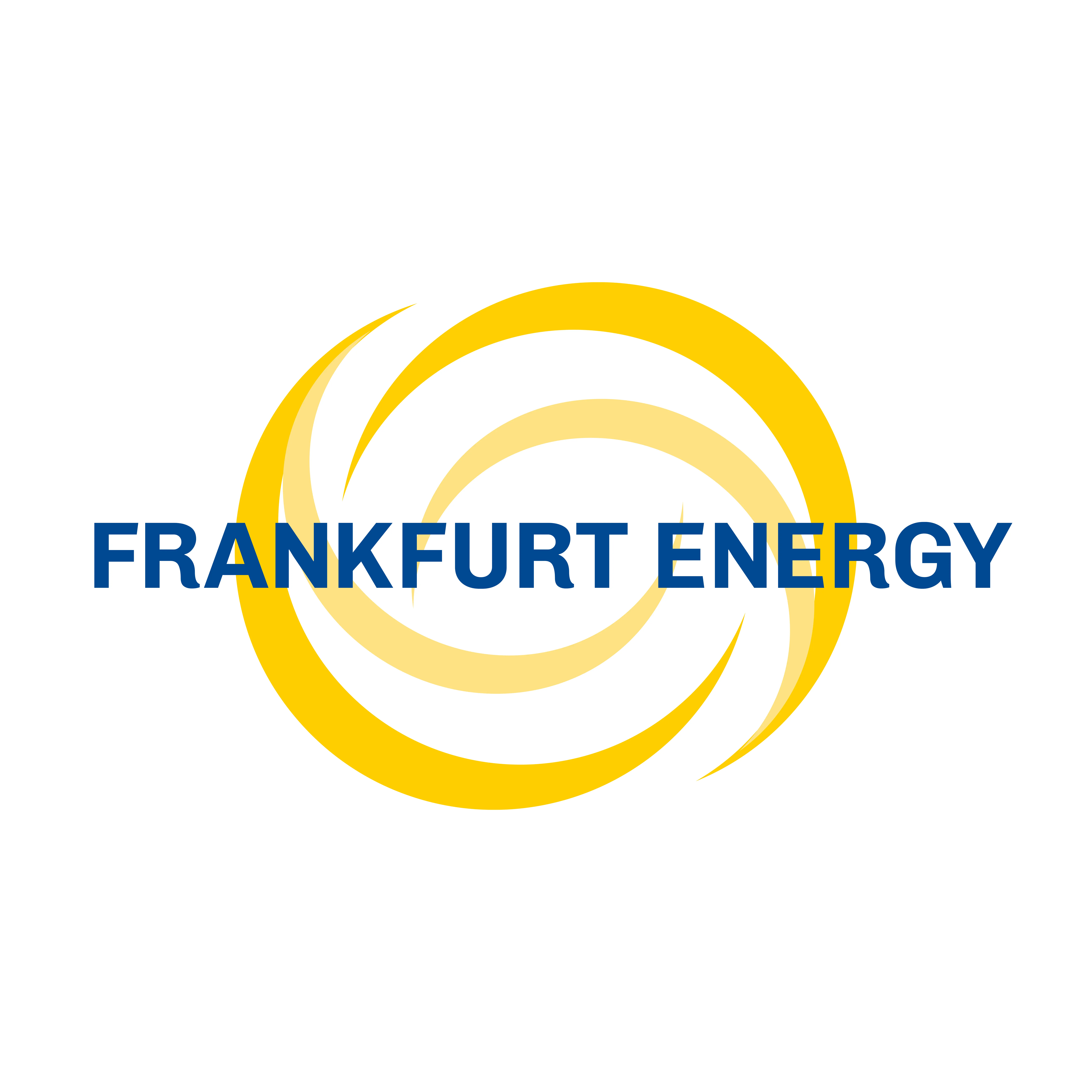 Frankfurt Energy Holding GmbH