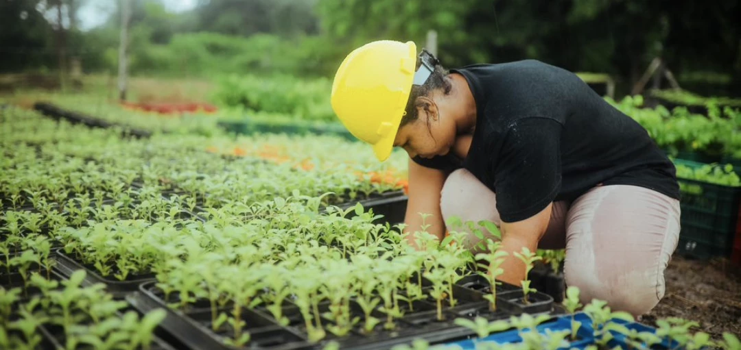 Mitarbeiterin mit gelbem Helm kümmert sich um Jungpflanzen Bäume 
