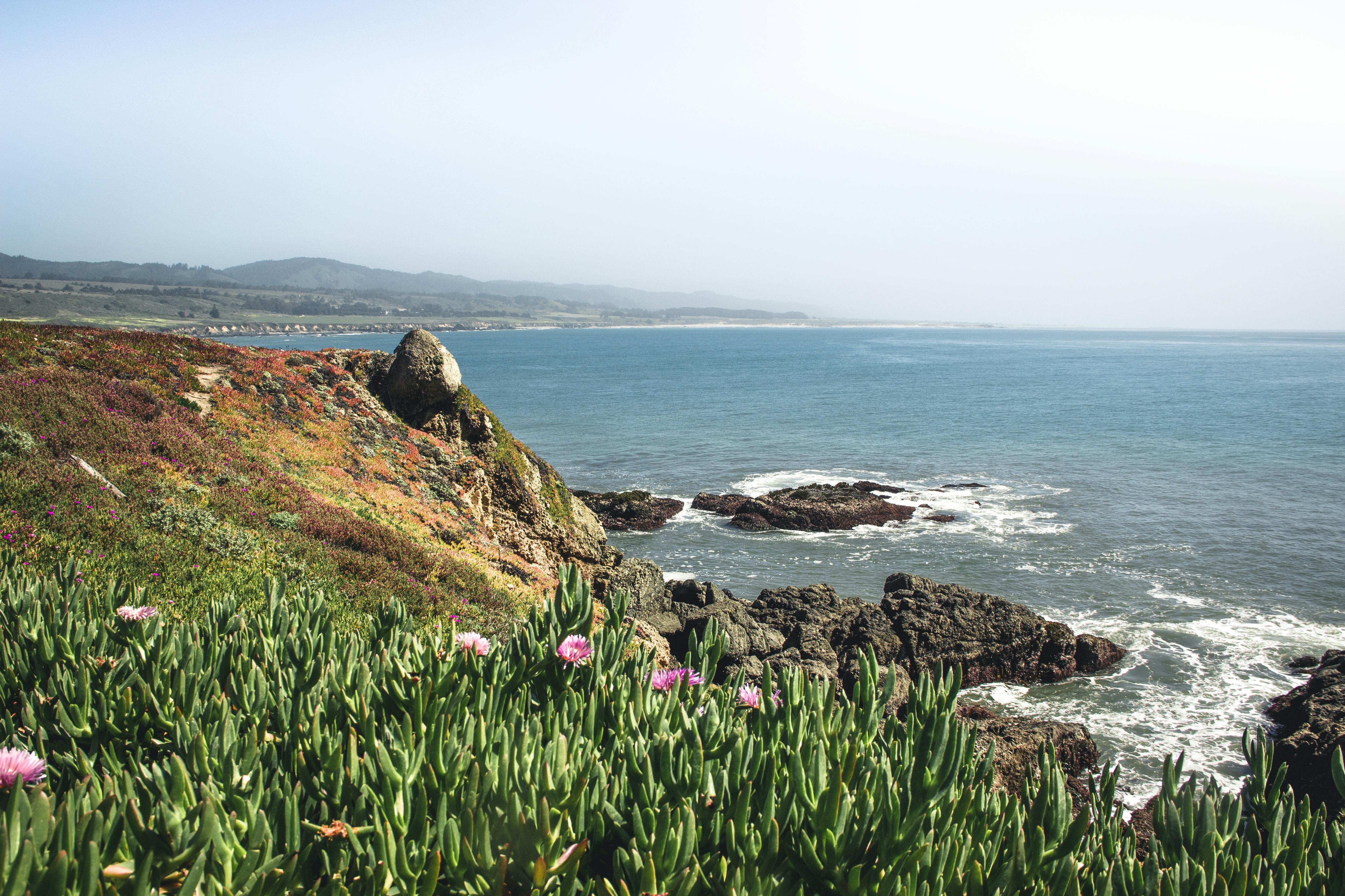 Küstenlandschaft mit Blick auf das Meer 