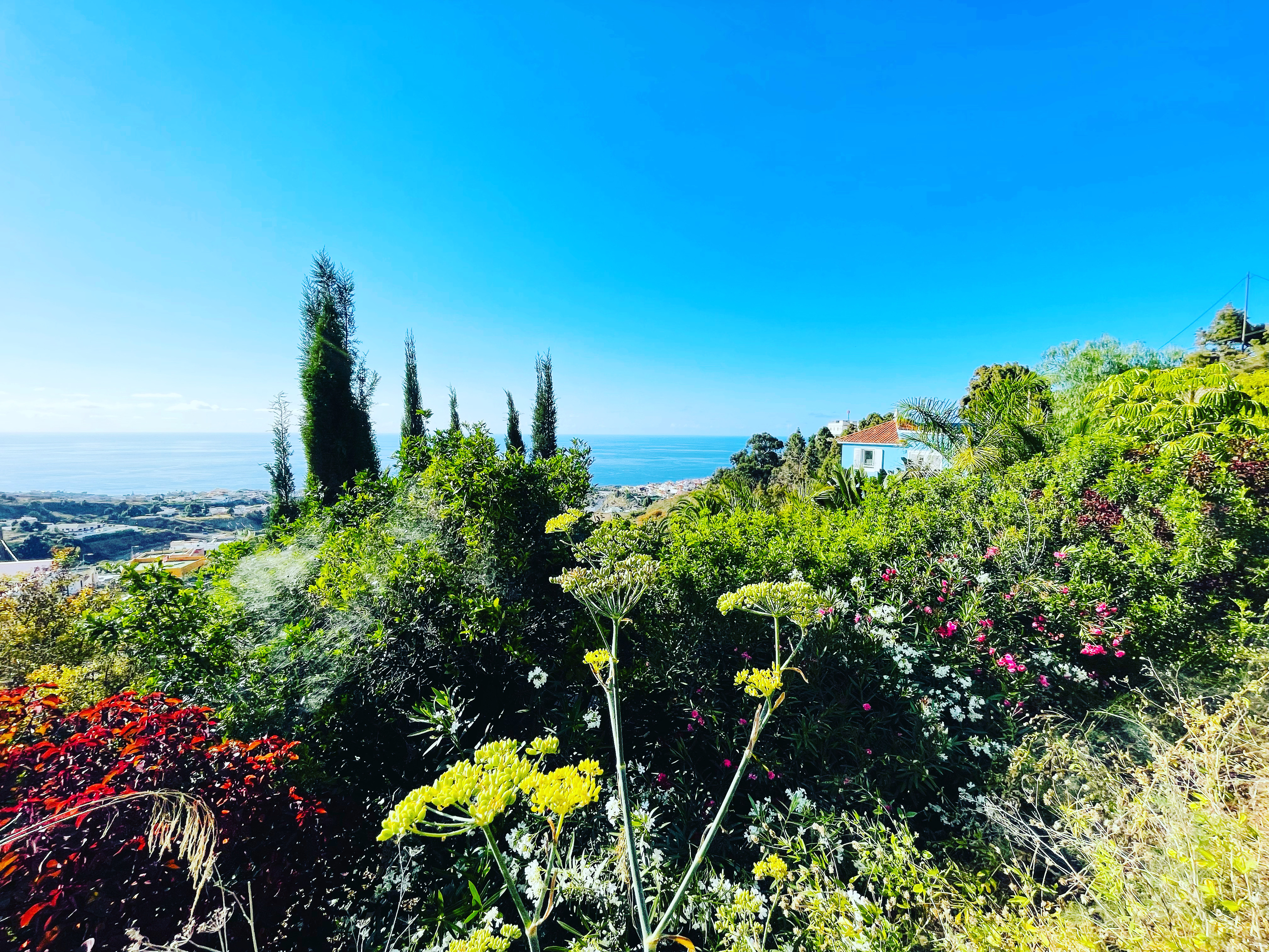 Küstenlandschaft auf Teneriffa mit grünen Felswänden auf denen eine blaue Casita über dem Meer thront. 